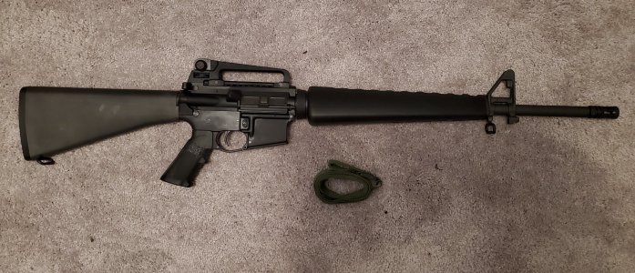 20" AR build