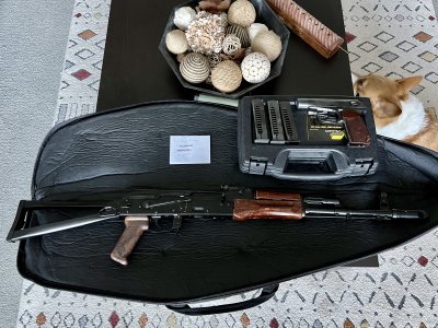 Bulgarian 74 and Makarov