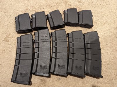 10x Saiga 223 mags