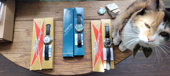 Russian Vostok Watches