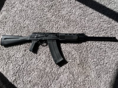 Saiga 12