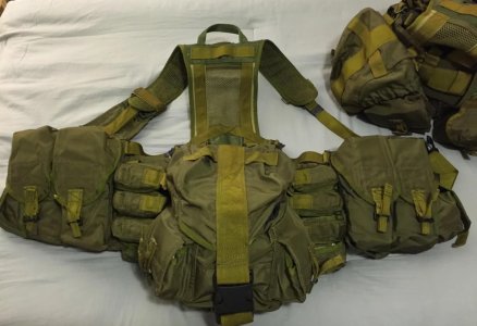 SSO Sbruya Partizan AK harness