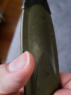 20240819_184417.jpg