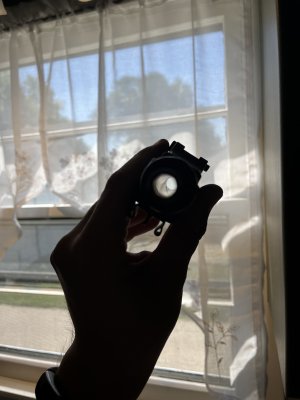 IMG_7301.jpeg