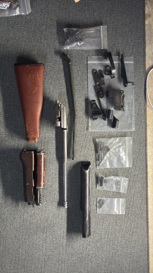 Polish/Bulgarian type 3 kit