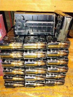 Loaded G3 mags