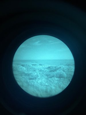 IMG_3786.jpeg