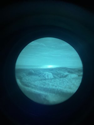 IMG_3784.jpeg