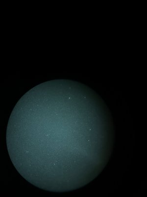 IMG_3795.jpeg