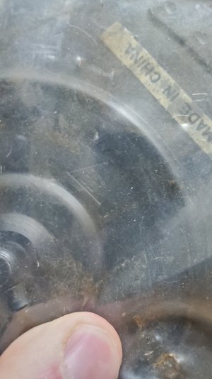 20250727_105209.jpg