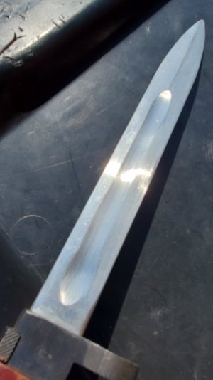 20250729_165252.jpg