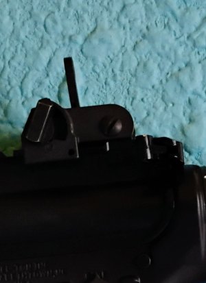 IMG_20250730_132308638_AE.jpg