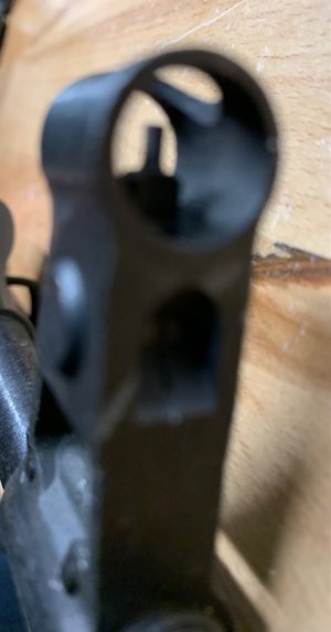 IMG_7855.jpeg IMG_7855.jpeg