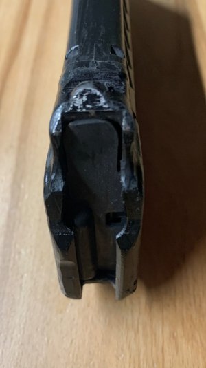 IMG_8008.jpeg