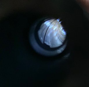 IMG_8326.jpeg IMG_8326.jpeg