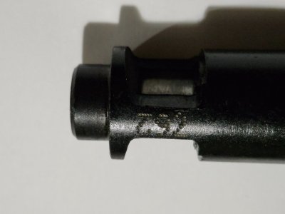 20250819_222219.jpg