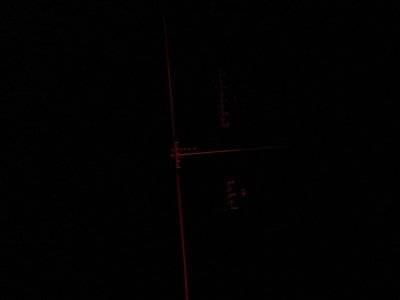 IMG_3913.jpeg