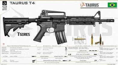 WTB Taurus T4 5.56 16" / Spikes Tactical AR