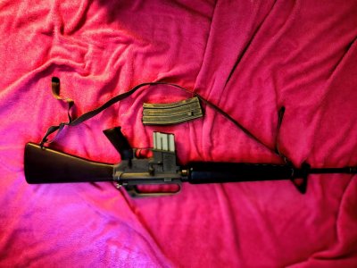 colt 604 w/ H&R lower 2 original pre ban magazines