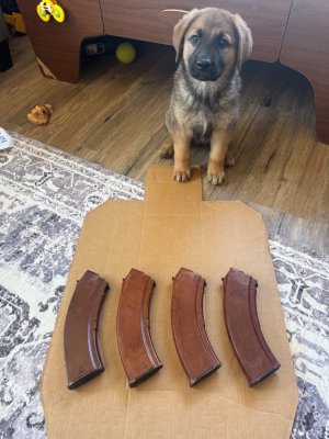 AK Izzy Bakelite Magazines