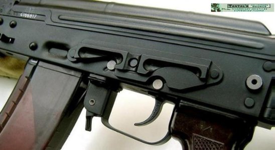 WTB: RMP3 / AK74N Side Rail