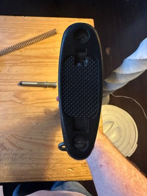 image2(109).jpeg