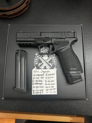 Springfield Echelon