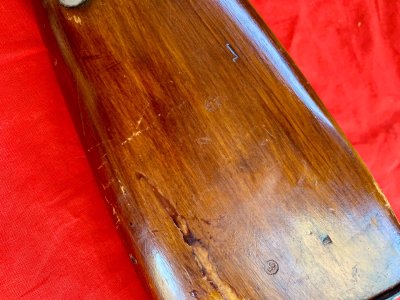 IMG_9435.jpeg IMG_9435.jpeg