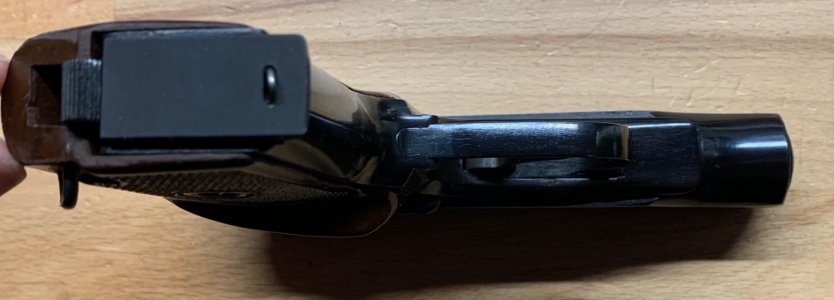 IMG_6943.jpeg IMG_6943.jpeg