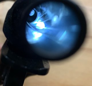 IMG_6947.jpeg IMG_6947.jpeg