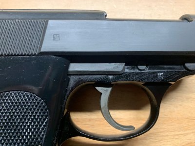 IMG_7035.jpeg IMG_7035.jpeg