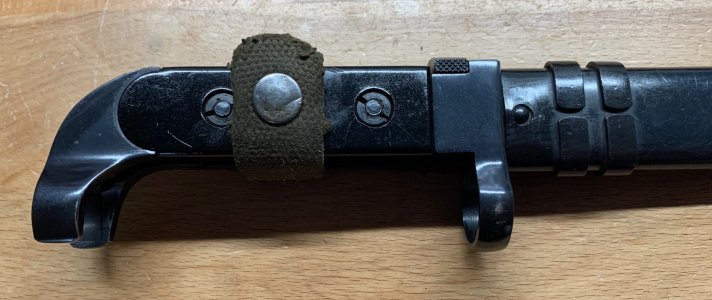 IMG_9488.jpeg IMG_9488.jpeg