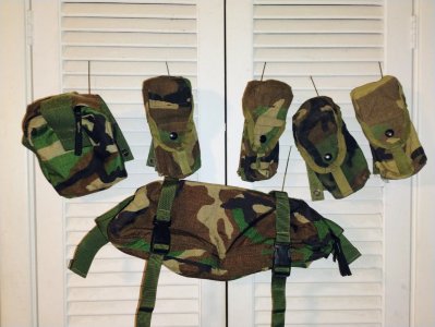 M81 woodland molle pouch lot
