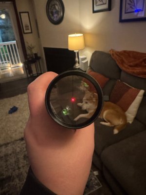 Primary Arms SLX 1-6x24mm SFP ACSS Nova Reticle +SCALARWORKS Leap/08