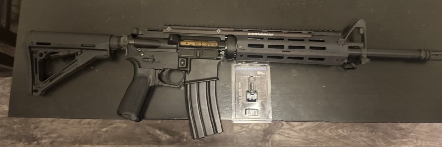 CASV PSA BUILD