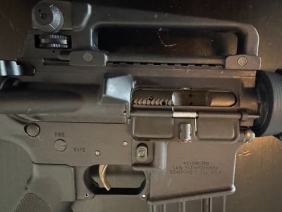 Ban Era Bushmaster 16" Carbine (LEO Marked)