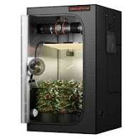 WTB Indoor Hydroponics/Gardening Setup