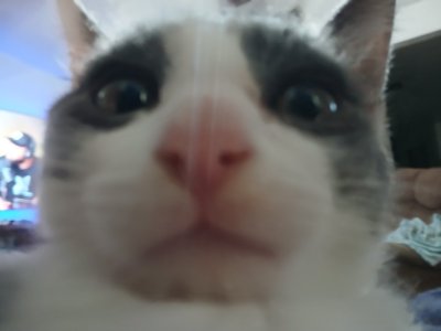 Looking for a Jmac wolverine hub adapter