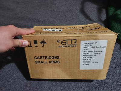 Case of Brown Bear 5.45 Blanks