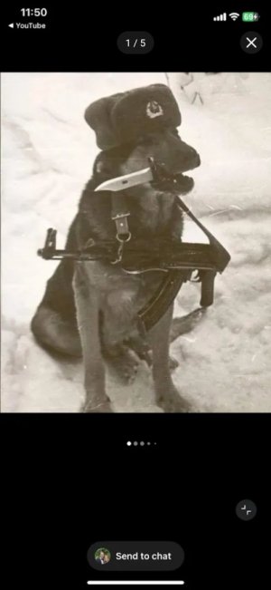 Greek hxp 303 british ammo