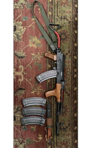 AIMS-74 (CUR-2) w/ 4x AIMS Magazines