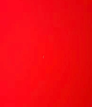 HKPDW MP5 Brace & BCM Lot