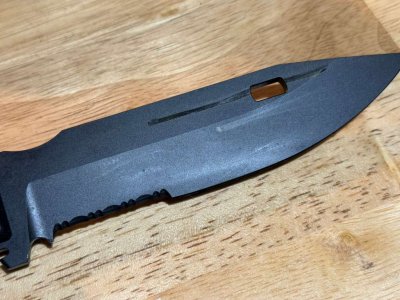 MSBS Grot Bayo 2.jpeg