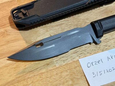 MSBS Grot Bayo 4.jpeg