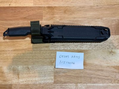 MSBS Grot Bayo 6.jpeg