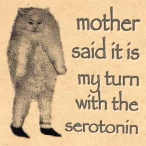 1,000 + Rounds Polish Mesko 9mm 124g NATO trade for 9x18, .45 ACP, .38 Special, 7.62x39 Near Pittsburgh