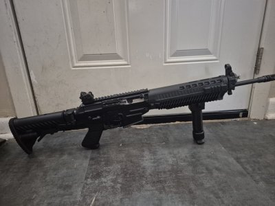 Sig 556