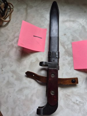 Matching Romy bayos, Polish, Bulgy and EG transitional