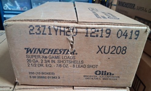 Winchester 20ga 2 3/4" #8 cases
