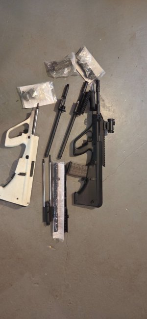 AUG Ensemble for SAIGA .223 Converted